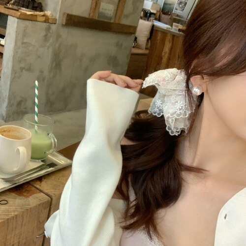 Shi Family Pearl Earrings 2024 New High-End Earrings 925 Silver Needle Earrings for Women, Light Luxury and Elegant Earring Clips