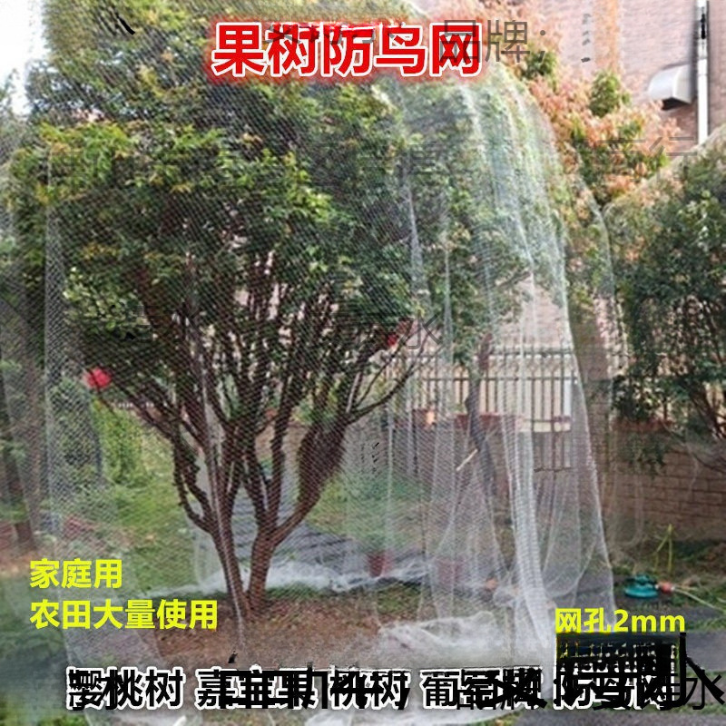 果树防鸟网 樱桃树枇杷树嘉宝树防鸟罩尼龙网葡萄园挡鸟拦鸟网子