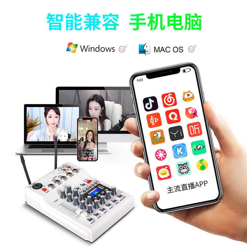 (2개) 전원 증폭기 올인원 무선 마이크 안티 하울링 블루투스 디지털 잔향 KTV 전문 노래방 세트 믹서