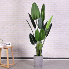 ���W�Ҿ�ins�L�����ֲ�����˽��������~���҃ȿ͏d���;Gֲ����