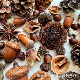 �ɻ��ɹ������ɹ��b��ֹ�DIY��Ȼԭ���ϰ�ɭϵ��޹�}�Q�٭h�b�