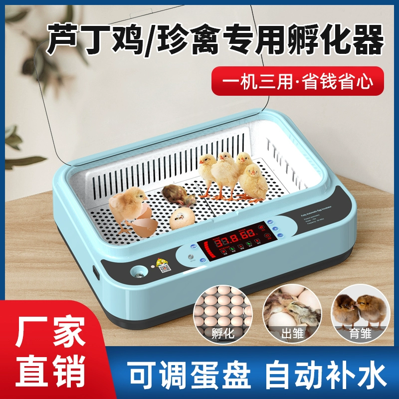 Инкубатор для цыплят Руди, небольшой бытовой полностью автоматический интеллектуальный инкубатор для яиц кур, уток и гусей