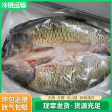 ���l�_���{�����~�r����Ʒ���ìF؛�ٰl�_�����~����~