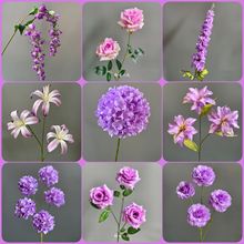 ��c���滨��ɫϵ·�����ٻ���Y���b�픻��ĵ��Ż����T�b�