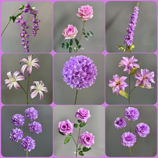 ��c���滨��ɫϵ·�����ٻ���Y���b�픻��ĵ��Ż����T�b�