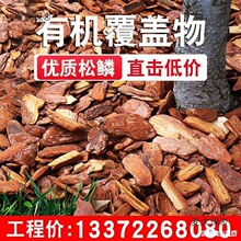 �ɘ�Ƥ���@���쾰���@ͥԺ���ؘ�Ѩ�b�ĥ���[��Ƥ�ЙC��̫��