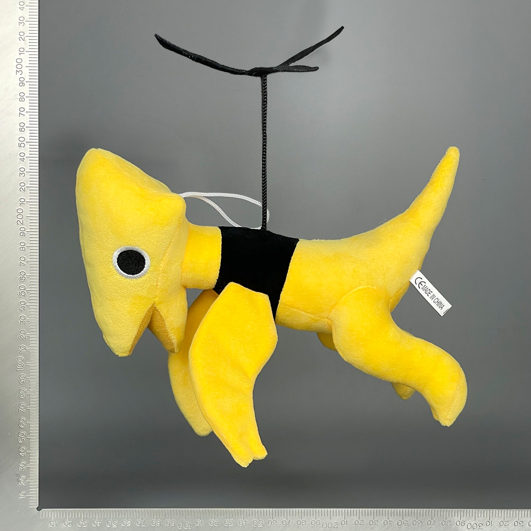 实拍 黄龙 (1).jpg