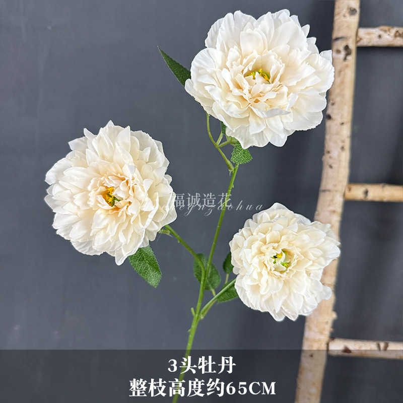 모란 3개