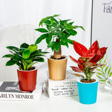 ��܎���˻����ɫ���ͼӺ������Q�y�����ֲ����B͸��ظ���S��