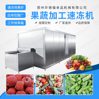 华德福制冷设备 果蔬隧道式速冻机 板栗速冻隧道 降温快 锁鲜设备
