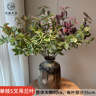 ��֦5����m�~���滨ֲ��c��Y��ɭϵ�쾰ܛ�b�Gֲ�~