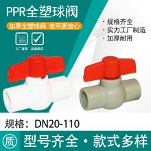 PPR�������yȫ�����y�ȏ�20-110ƽ���y�T�����y�T�_�P�в庸��