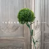 Green stone
