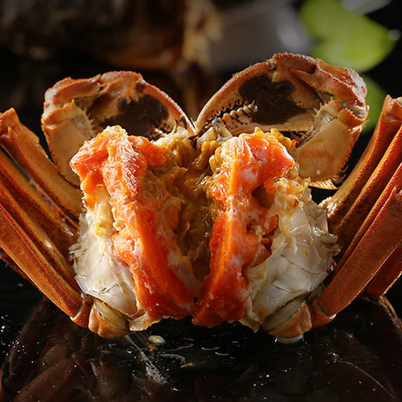 Crab Crabs Fresh Large Aquatic products Seafood goods in stock Gift box packaging 16 Manufactor Cross border wholesale