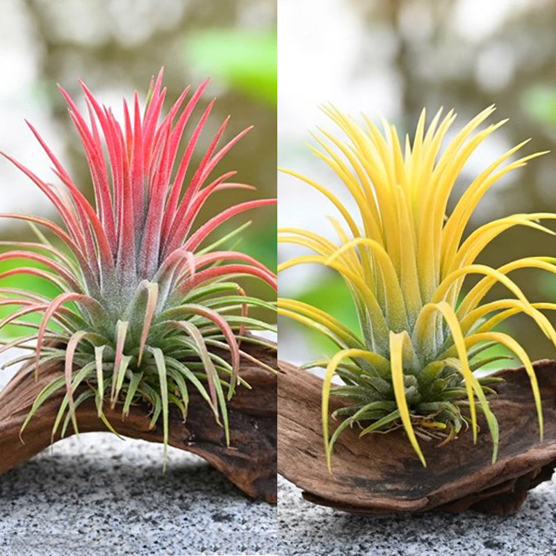 e1f76bdf-fc37-41fb-8571-65bc06f9bae5.jpe