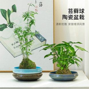 ��ʽ����̦�\�����҃�����Ҭ�ӾGֲˮ���辰�մɔ[����С̖