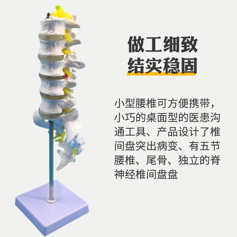 �����׵������ģ�� ����ģ�� ���ģ�� �������ģ�� �ɹ�׵����