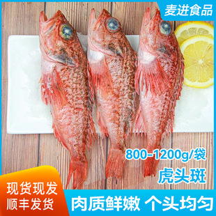 �����~���r�ك��ϻ����~��~���^�ߺ��rˮ�aʯ���~���l����