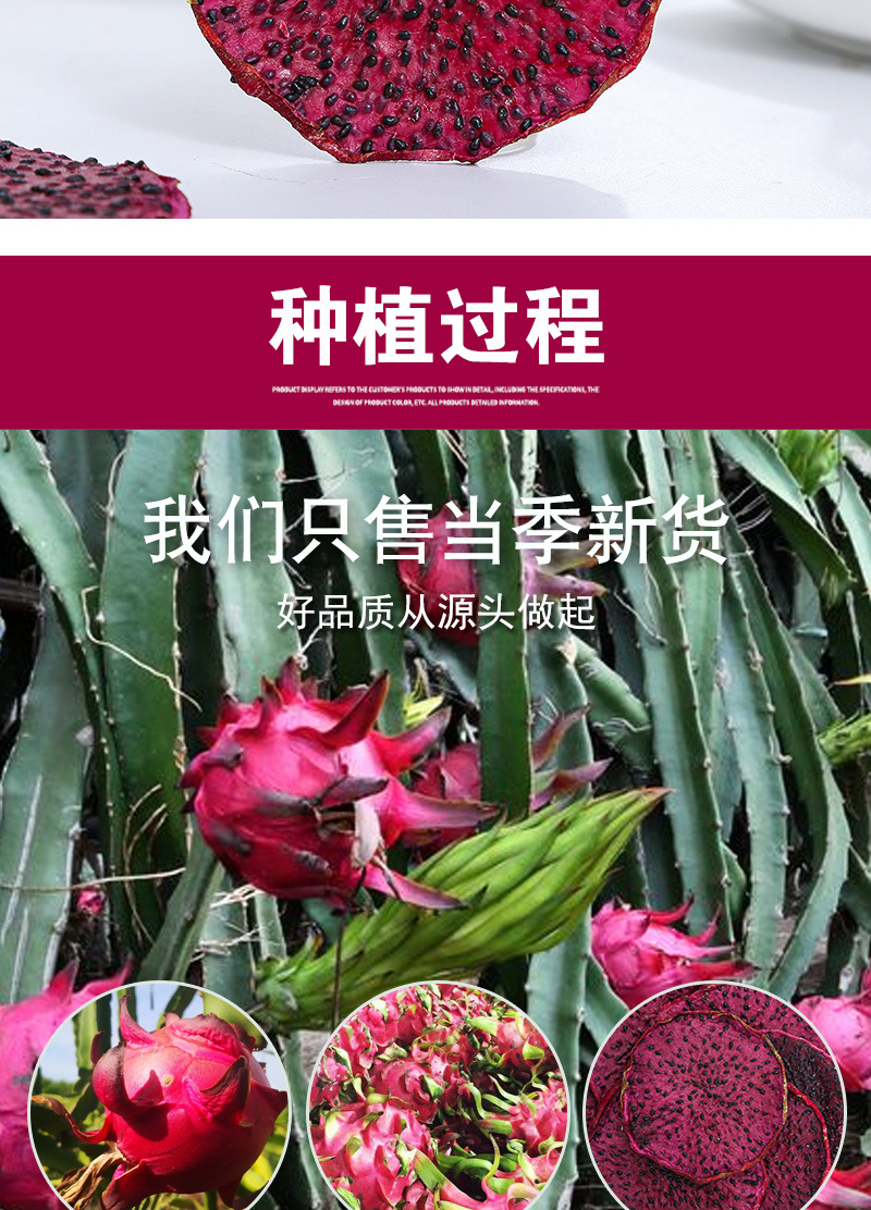 Red Dragon Fruit Slices (Hylocereus polyrhizus) — Dried Fruit Tea, Cold-Brew & Loose Leaf in use