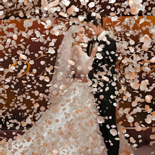 �Y�黨��Y�ڶY��Ͳ�YͲ�ڲʎ��ꇊ�֔Q��Ͳ������Y��c��Ʒ��ȫ