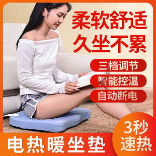 Heated Cushion Office Home 220V Electric Heating Cushion Electric Blanket Chair Cushion Electric Mattress Constant Temperature Fast Heating