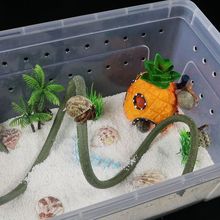 活物寄居蟹宠物饲养箱套装专用沙造景躲避屋水盆攀爬藤海盐螃蟹缸