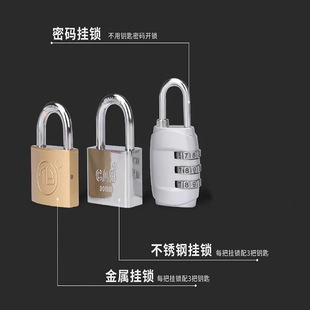 Plug Lock Matching Padlock