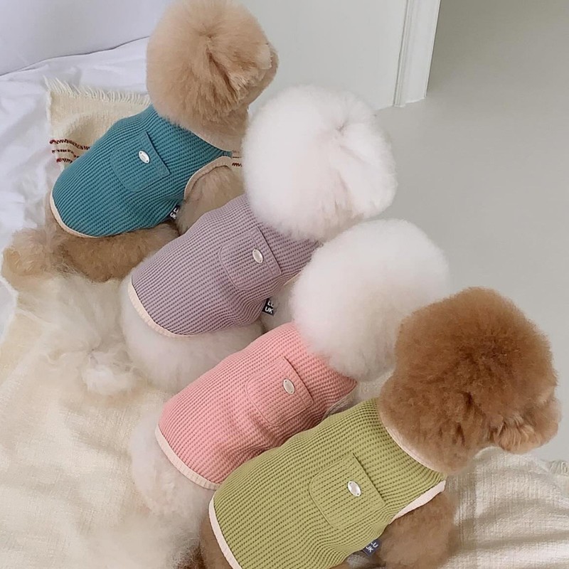 新しい韓国版かわいいワッフルペットベストキャンディー色夏ペット日焼け止め服テディマルジス|undefined