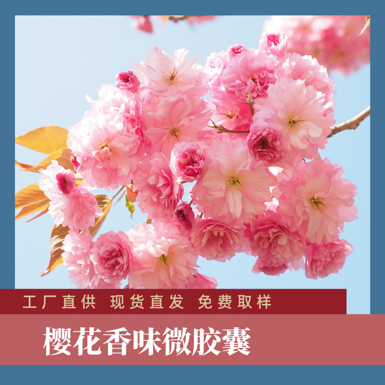 樱花香味微胶囊 家纺床单四件套内衣袜子无纺布成衣加香助剂