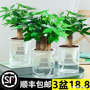 �lؔ��С���Ի��ܾGֲ���k���҃�����ȩ�G�}����ˮ��lؔ����B