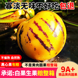 ���ʯ���˅���ˮ��5���S��A�����r������]�������������Y���b