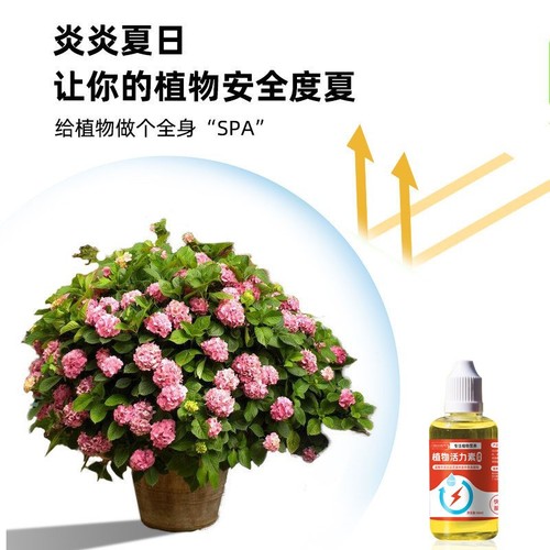 Plant energizer rooting and flowering plant fairy water potted growth horticulture energizer nutrient solution universal type