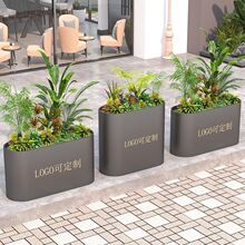 �����Fˇ�����������ͥԺ�����̘I�ֻ���M�϶� �ƷNֲ���ۻ���