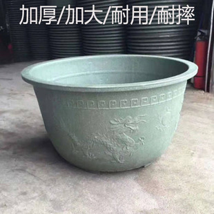 ���l��֬���ϻ���ˤ������\�����̖ͥԺ�N��������÷Ӳ��������