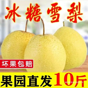 ѩ�����w�h���r����]ѩ��ˮ�����r�����������r10ѩ������5��9��