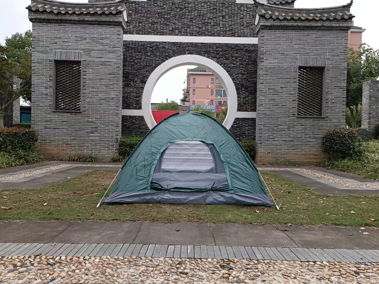 짙은 녹색
