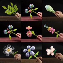 �eľ������������С�w���[���ֹ�ƴ�b�̎����Y��Ů��ϵ����߃�ͯ