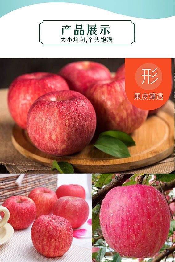 微信图片_20230919114107