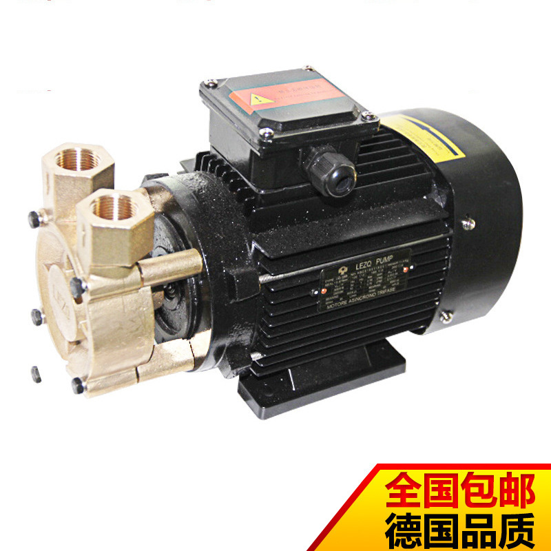 厂家供应高压叶片泵  高扬程叶片泵  耐高温增压热油循环叶片泵