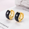 Retro small design demi-season earrings, light luxury style