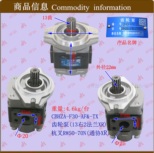 Forklift Parts Wholesale Hydraulic Gear Pump (13 Right 2 Flange) Hangzhou Forklift R # 50-70N-Cbhza-F30-Af&