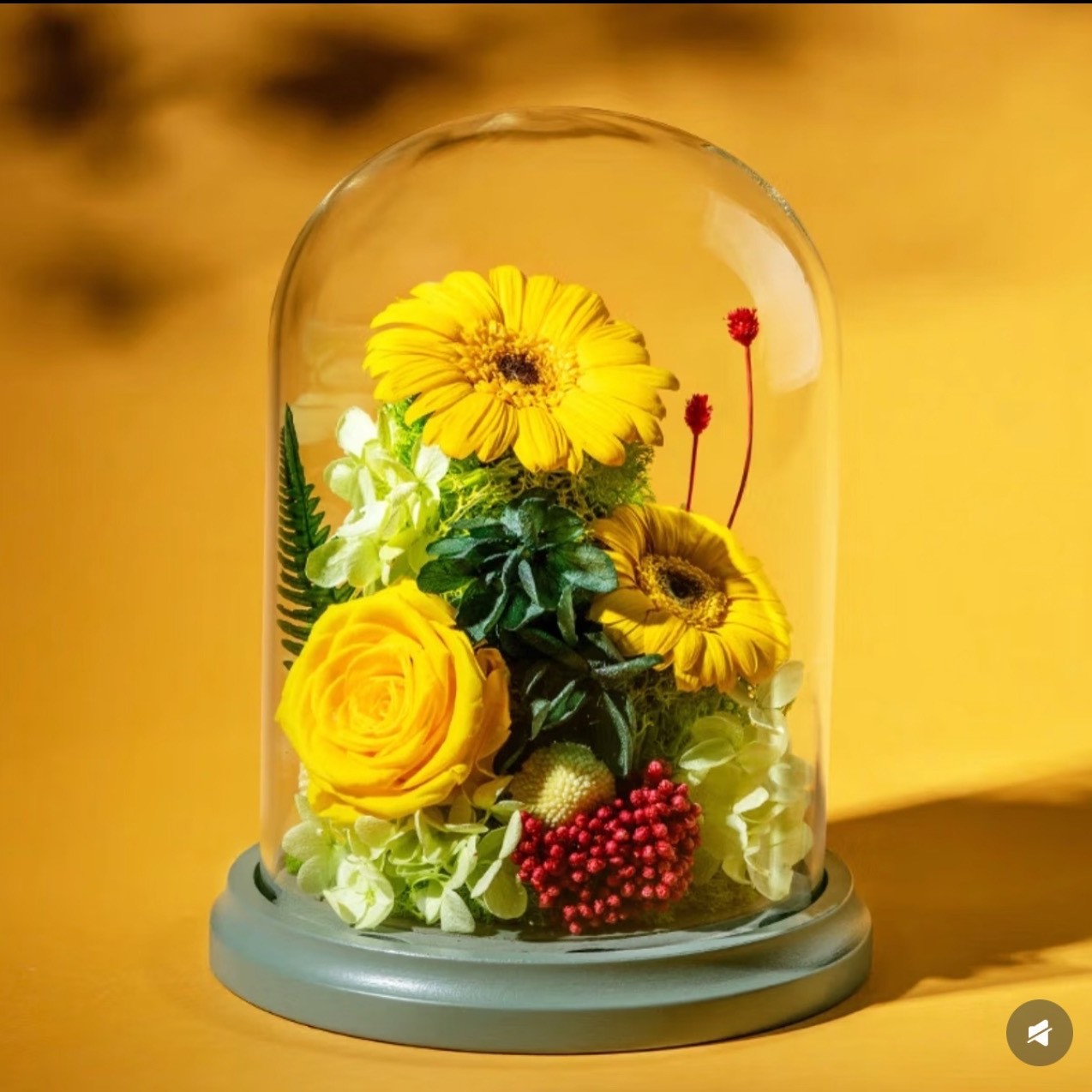 Rosa amarilla 2 girasoles