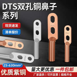 DTS系列双孔铜接线端子镀锡电缆过渡线耳铜鼻子dts双孔铜鼻子