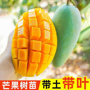 â�������ļ��Y���â���߼޽Ӄ��|�ش��������Ϸ��Nֲ����ͥԺ