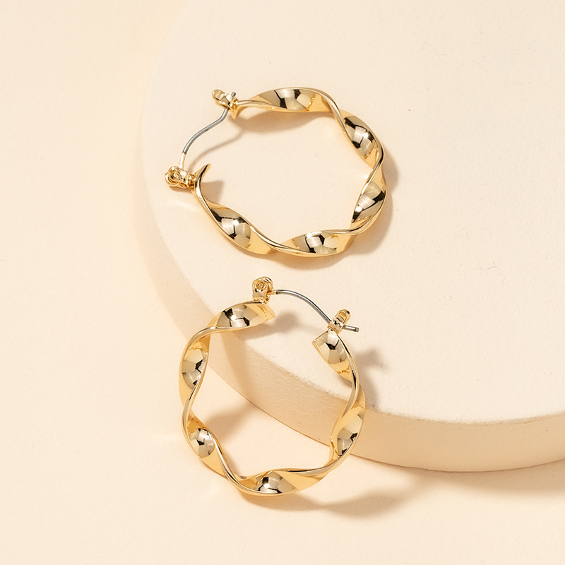 Metal Twisted Hoop Earrings display picture 6