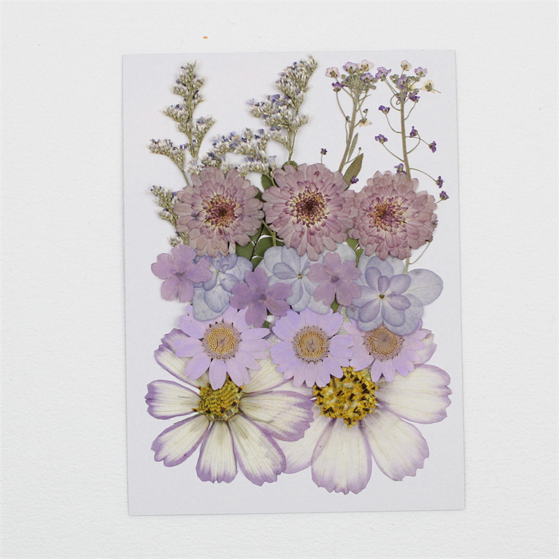 스모크 퍼플 (20송이)