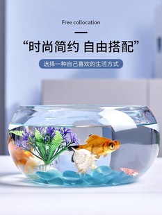 Office Small Fish Tank Thickeneded Transparent Glass Turtle Tank Living Room Home Desktop Round Mini Small Jinyeqin