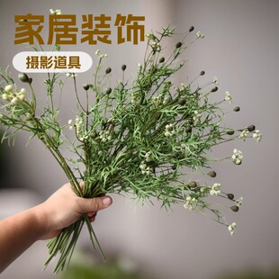 �¿�ٴ����ֲ��Ұ�����Ϸ��滨��c����ܛ�b�廨���ɭϵ�پG