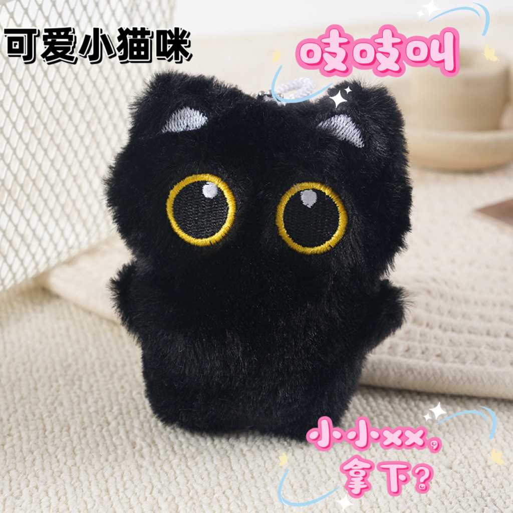전신 검은 고양이