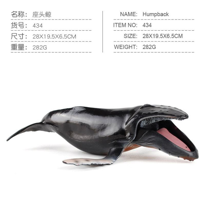 Whale-282g jorobada PL127-434